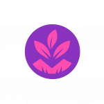 chatgpt image 16 sept 2025, 11 13 54